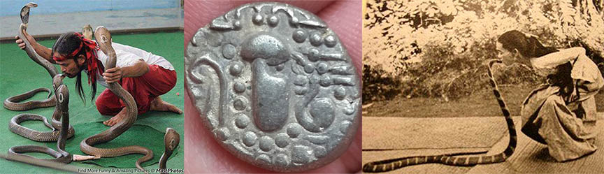 Added-Two-Very-Rare-Indo-Sassanians